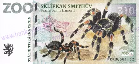 310 ZOO JIHLAVA Sklípkan Smithův 2025