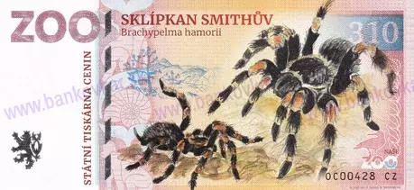 310 ZOO OLOMOUC Sklípkan Smithův 2025