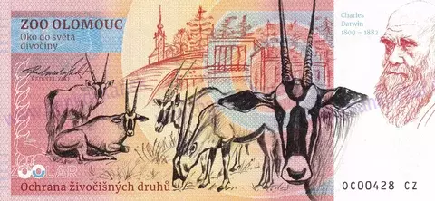 310 ZOO OLOMOUC Sklípkan Smithův 2025