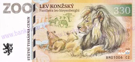 330 ZOO BRNO Lev konžský 2025