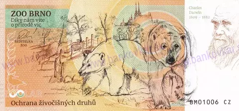 330 ZOO BRNO Lev konžský 2025