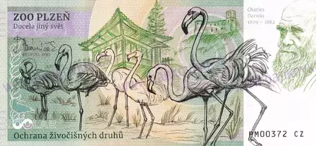 350 ZOO PLZEŇ Gepard štíhlý 2025