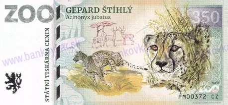 350 ZOO PLZEŇ Gepard štíhlý 2025