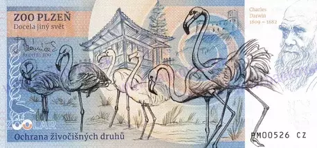 350 ZOO PLZEŇ Kapybara vodní 2025