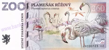 360 ZOO HLUBOKÁ n./V. Plameňák růžový 2025