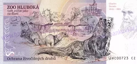 360 ZOO HLUBOKÁ n./V. Plameňák růžový 2025