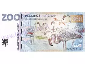 360 ZOO HODONÍN (Plameňák růžový) 2024
