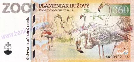 360 ZOO SNV Plameniak ružový-1