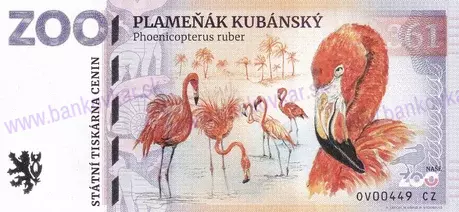361 ZOO OSTRAVA Plameňák kubánský 2026-1