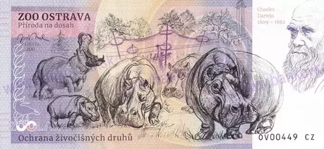 361 ZOO OSTRAVA Plameňák kubánský 2026-2