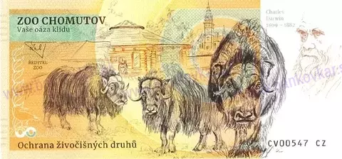 370 ZOO CHOMUTOV Vlk eurasijský 2025