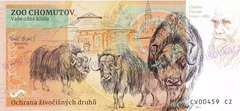 370 ZOO CHOMUTOV Vlk eurasijský 2025