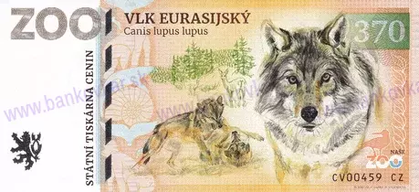 370 ZOO CHOMUTOV Vlk eurasijský 2025