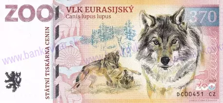370 ZOO DĚČÍN Vlk eurasijský 2025