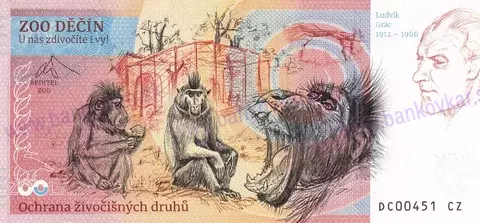 370 ZOO DĚČÍN Vlk eurasijský 2025