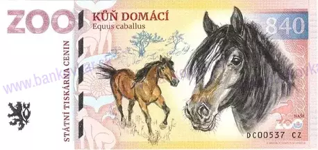 370 ZOO DĚČÍN Vlk eurasijský 2025