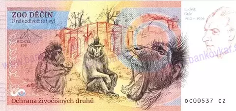 370 ZOO DĚČÍN Vlk eurasijský 2025