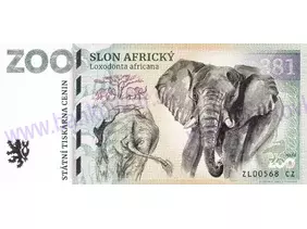 381 ZOO ZLÍN (Slon africký) 2025