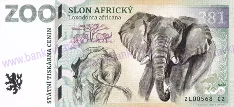 381 ZOO ZLÍN Slon africký 2025