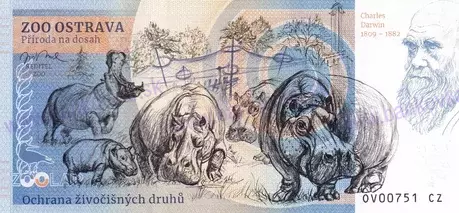 400 ZOO OSTRAVA Mandril rýholící 2025