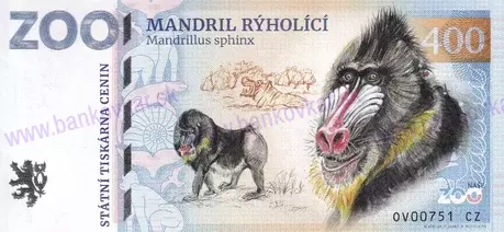 400 ZOO OSTRAVA Mandril rýholící 2025