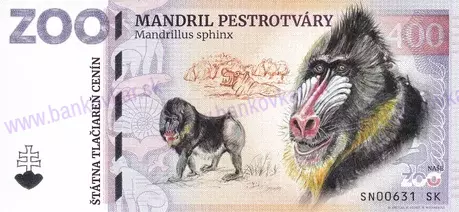 400 ZOO SNV Mandril pestrotváry 2026-1