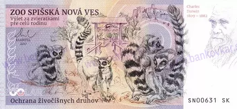 400 ZOO SNV Mandril pestrotváry 2026-1