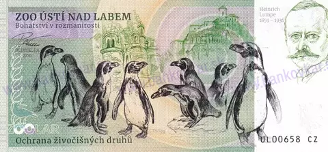 400 ZOO ÚSTÍ n/L. Mandril rýholící 2023