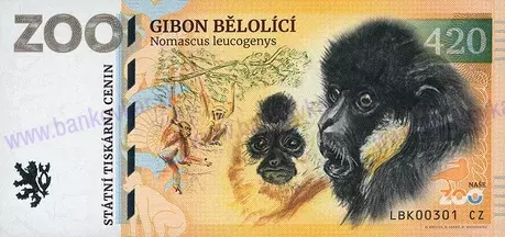 420 ZOO LIBEREC Gibon bělolící 2025
