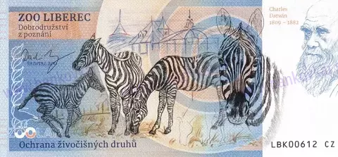 430 ZOO LIBEREC Levhart sněžný 2025