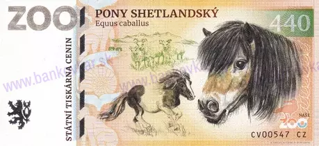 440 ZOO CHOMUTOV Pony shetlandský 2026-1