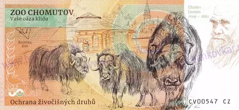 440 ZOO CHOMUTOV Pony shetlandský 2026-2