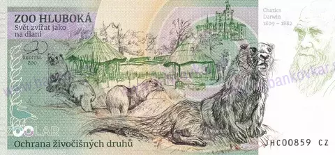 440 ZOO Hluboká n/V. Pony shetlandský 2026