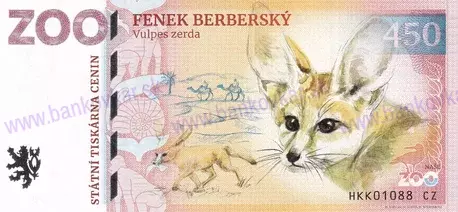 450 ZOO Dvůr Králové n./L Fenek berberský 2025