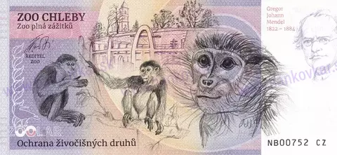 460 ZOO CHLEBY Emu hnědý