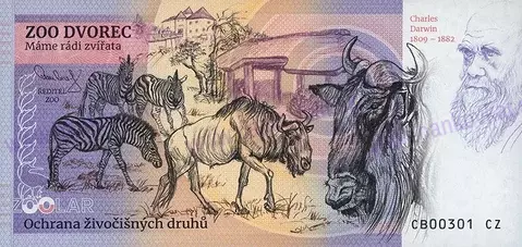 480 ZOO DVOREC Hroch obojživelný 2025