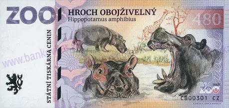 480 ZOO DVOREC Hroch obojživelný 2025