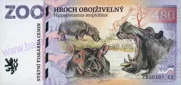 480 ZOO DVOREC (Hroch obojživelný) 2025 480 ZOO DVOREC (Hroch obojživelný) 2025