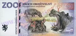 480 ZOO DVOREC (Hroch obojživelný) 2025