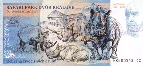480 ZOO Dvůr Králové n./L Hroch obojživelný 2025
