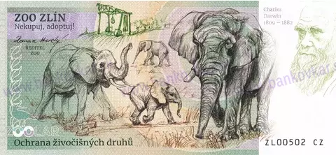 490 ZOO ZLÍN Siba ománská 2025