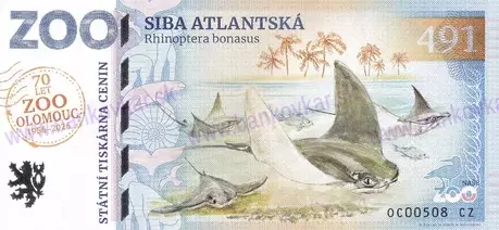 491 ZOO OLOMOUC Siba atlantská 2026-1