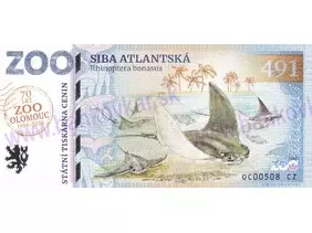 491 ZOO OLOMOUC (Siba atlantská) 2026