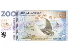 491 ZOO OLOMOUC (Siba atlantská) 2026