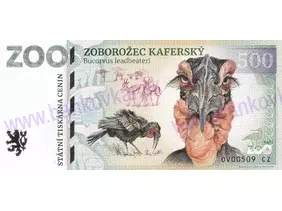 500 ZOO OSTRAVA (Zoborožec kaferský) 2026