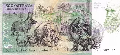 500 ZOO OSTRAVA Zoborožec kaferský 2026