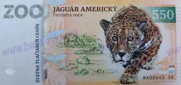 550 ZOO BRATISLAVA (Jaguár americký) 2026