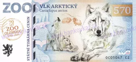 570 ZOO OLOMOUC Vlk arktický 2026-1