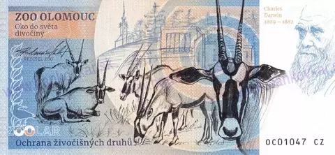 570 ZOO OLOMOUC Vlk arktický 2026-2