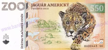 630 ZOO Bratislava Lev juhoafrický-1